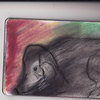 Santa_fe_diary_8________cm