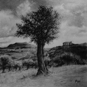 Sicily-2_card