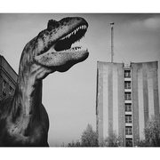 Sam_2628_bw_card