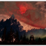 Untitled-2_card