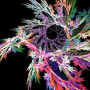 Fractal_art__first_flower_card