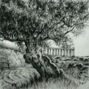 Sicily-4_card