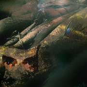 Dowm_by_the_river_side