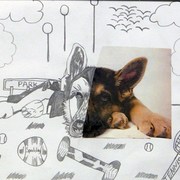 Dog_card