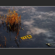 Tilbury_1_card
