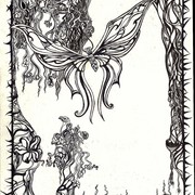 Butterfly_card