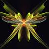 Pam_amos_butterfly_orchid01_thumb