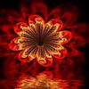 Pam_amos_fire_flower02_thumb