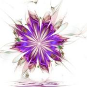 Pam_amos_floating10_card