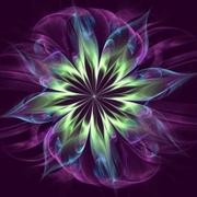 Pam_amos_lace_petals11_card
