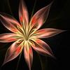 Pam_amos_golden_petals03_thumb