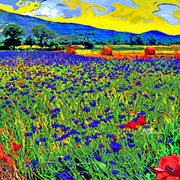 Norcia_70x40_card
