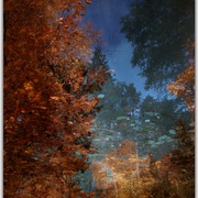 Untitled-1m_card