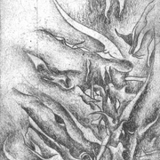 N16_card