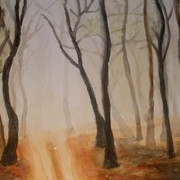 R_fog_card