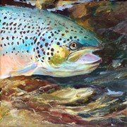556jw_card