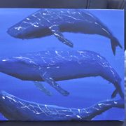 Dsc_1731_card
