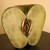 Carmelo030708_070_tiny_square