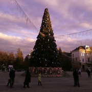Photo-0101_card