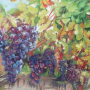 Grape-alexandr-az_card
