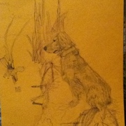Picture_005_card