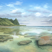 Haena_beach_lr_profile_card