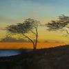 Kipahulu_lr_thumb