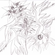 Img_card