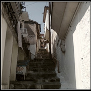 ______4262-1_card