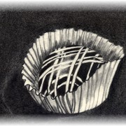 Chocolate_card