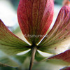 1110763-1-better-with-age_watermark_thumb