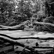 Black_and_white_river_020_card