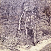 Bosco_card