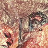 Erotic_love_art_thumb
