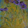 Poppies-03_thumb