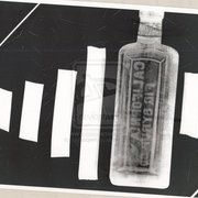 Photogram2_by_ninjasqwirl-d3dd641_card