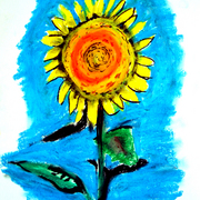 Tournesol_card