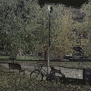 Photo0006nm_card