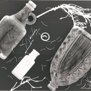 Photogram_by_ninjasqwirl-d3dd1cp_card