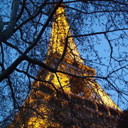 Eiffel_tower_alive_by_ninjasqwirl_card