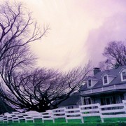 Imag0412-picsay_card