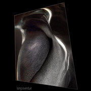 W28_card