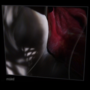 W26_card