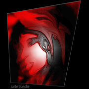 W23_card