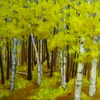 October_thumb
