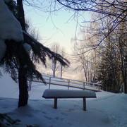 Dsc04539-001_card