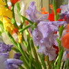 Dscn0570_thumb