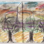 Three_trees_in_the_square_cm