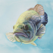 581jw_card