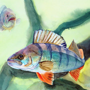 569jw_card